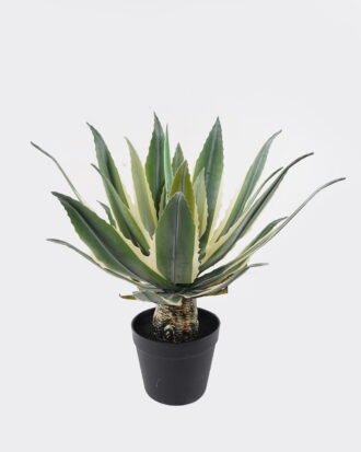 Artificial succulent 30*30*45cm Tequila in PP pot/21 lvs GS-41924002 2025Jan YeahFlower is one of Chinese leading OEM manufacturers and exporters , supplying the silk flowers, wholesale artificial trees