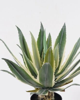 Artificial succulent 30*30*45cm Tequila in PP pot/21 lvs GS-41924002 2025Jan YeahFlower is one of Chinese leading OEM manufacturers and exporters , supplying the silk flowers, wholesale artificial trees