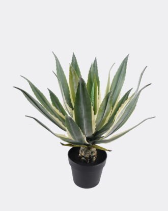 Artificial succulent 45*45*51cm Tequila in PP pot/21 lvs GS-41924003 2025Jan YeahFlower is one of Chinese leading OEM manufacturers and exporters , supplying the silk flowers, wholesale artificial trees