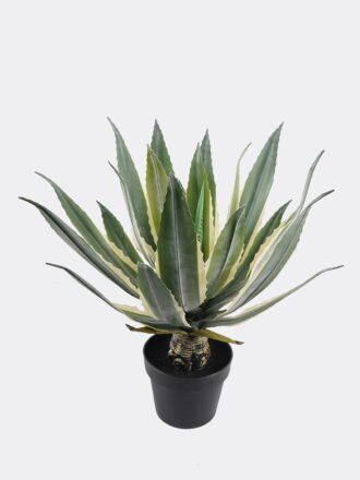 Artificial succulent 30*30*45cm Tequila in PP pot/21 lvs GS-41924004 2025Jan 3,000+ sqm showroom with thousands of artificial flowers, plants & trees ready for global sourcing.