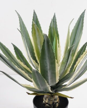 Artificial succulent 45*45*51cm Tequila in PP pot/21 lvs GS-41924003 2025Jan YeahFlower is one of Chinese leading OEM manufacturers and exporters , supplying the silk flowers, wholesale artificial trees