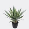 Artificial succulent 30*30*45cm Tequila in PP pot/21 lvs GS-41924004 2025Jan YeahFlower is one of Chinese leading OEM manufacturers and exporters , supplying the silk flowers, wholesale artificial trees