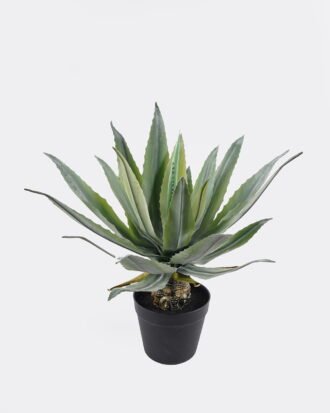 Artificial succulent 30*30*45cm Tequila in PP pot/21 lvs GS-41924004 2025Jan YeahFlower is one of Chinese leading OEM manufacturers and exporters , supplying the silk flowers, wholesale artificial trees