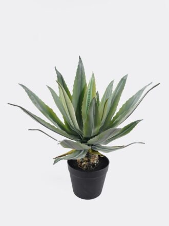 Artificial succulent 45*45*51cm Tequila in PP pot/21 lvs GS-41924005 2025Jan 3,000+ sqm showroom with thousands of artificial flowers, plants & trees ready for global sourcing.