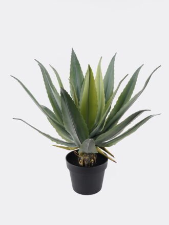 Artificial succulent 30*30*45cm Tequila in PP pot/21 lvs GS-41924004 2025Jan 3,000+ sqm showroom with thousands of artificial flowers, plants & trees ready for global sourcing.