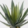 Artificial succulent 45*45*51cm Tequila in PP pot/21 lvs GS-41924005 2025Jan 3,000+ sqm showroom with thousands of artificial flowers, plants & trees ready for global sourcing.
