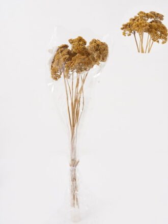 Dried Flowers 60cm Babysbreath single stem GS-56624114 2025Jan 3,000+ sqm showroom with thousands of artificial flowers, plants & trees ready for global sourcing.