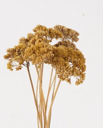 Dried Flowers 40cm Chrysanthemum bundle GS-56624118-W2 2025Jan YeahFlower is one of Chinese leading OEM manufacturers and exporters , supplying the silk flowers, wholesale artificial trees