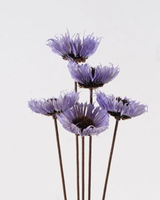 Dried Flowers 52cm Dried flower bundle GS-56624142-B1 2025Jan YeahFlower is one of Chinese leading OEM manufacturers and exporters , supplying the silk flowers, wholesale artificial trees