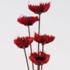 Dried Flowers 52cm Dried flower bundle GS-56624142-R1_4 Dried Flowers 52cm Dried flower bundle GS-56624142-R1 2025Jan YeahFlower is one of Chinese leading OEM manufacturers and exporters , supplying the silk flowers, wholesale artificial trees