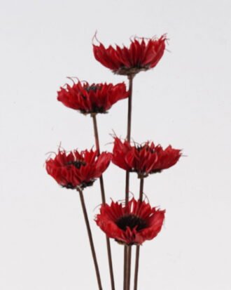 Dried Flowers 52cm Dried flower bundle GS-56624142-R1 2025Jan YeahFlower is one of Chinese leading OEM manufacturers and exporters , supplying the silk flowers, wholesale artificial trees