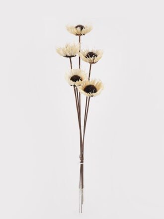 Dried Flowers Dried natura plant GS-56624143 2025Jan 3,000+ sqm showroom with thousands of artificial flowers, plants & trees ready for global sourcing.