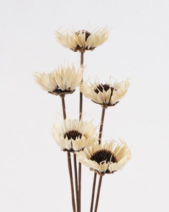 Dried Flowers 52cm Dried flower bundle GS-56624142-W1 2025Jan YeahFlower is one of Chinese leading OEM manufacturers and exporters , supplying the silk flowers, wholesale artificial trees