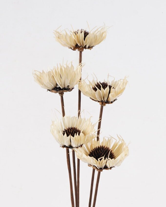 Dried Flowers 52cm Dried flower bundle GS-56624142-W1 2025Jan YeahFlower is one of Chinese leading OEM manufacturers and exporters , supplying the silk flowers, wholesale artificial trees