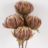 Dried Flowers 52cm Dried flower bush GS-56624146 2025Jan YeahFlower is one of Chinese leading OEM manufacturers and exporters , supplying the silk flowers, wholesale artificial trees