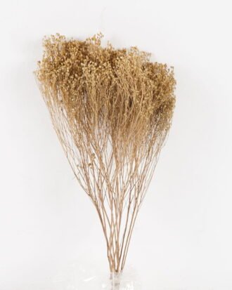 Dried Flowers 60cm Babysbreath single stem GS-56624114 2025Jan YeahFlower is one of Chinese leading OEM manufacturers and exporters , supplying the silk flowers, wholesale artificial trees