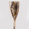 Dried Flowers 60cm Dried flower bundle GS-56624125 2025Jan 3,000+ sqm showroom with thousands of artificial flowers, plants & trees ready for global sourcing.