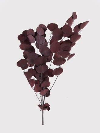 Dried Flowers 70cm Apple leaf single stem GS-56624112-Y1 2025Jan 3,000+ sqm showroom with thousands of artificial flowers, plants & trees ready for global sourcing.