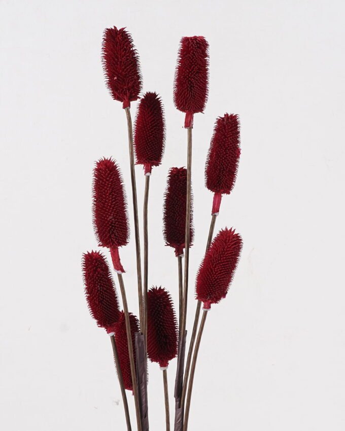 Dried Flowers 80cm Dipsacus sativus single stem GS-56624110-R1 2025Jan YeahFlower is one of Chinese leading OEM manufacturers and exporters , supplying the silk flowers, wholesale artificial trees