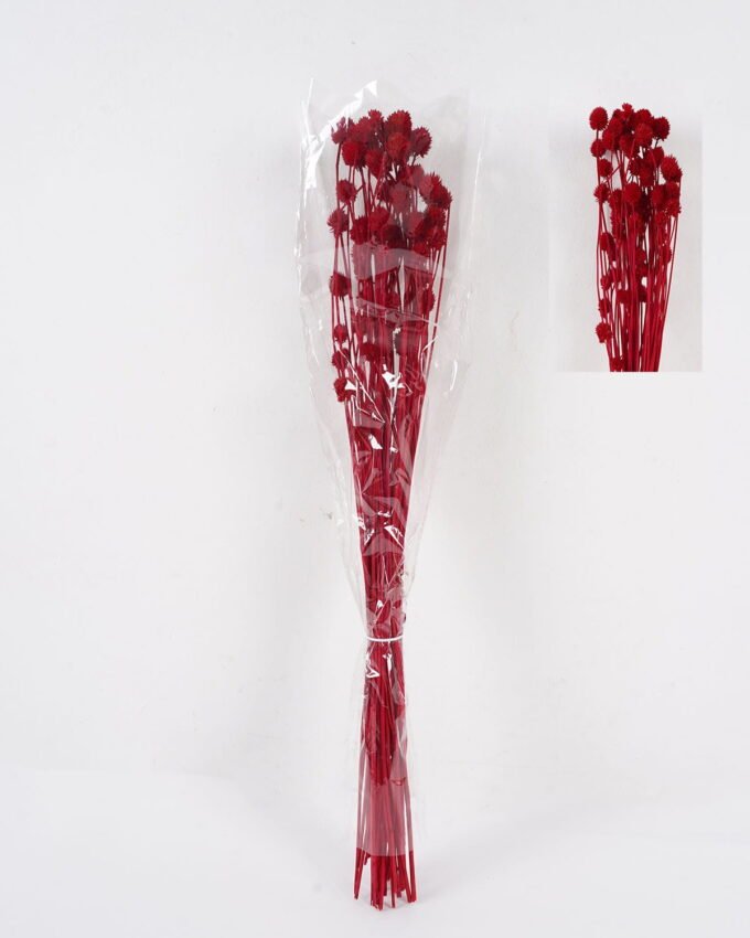 Dried Flowers 11*75cm nature plants bundle GS-56619021-H1 2025Jan YeahFlower is one of Chinese leading OEM manufacturers and exporters , supplying the silk flowers, wholesale artificial trees