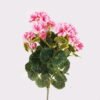 Artificial Flower 25*25*51cm Begonia *7 bush GS-61524071 2025Jan YeahFlower is one of Chinese leading OEM manufacturers and exporters , supplying the silk flowers, wholesale artificial trees