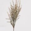 Artificial Plant 30*30*58cm Aquatic plant *13 bush GS-72424027 2025Feb YeahFlower is one of Chinese leading OEM manufacturers and exporters , supplying the silk flowers, wholesale artificial trees