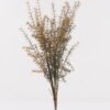 Artificial-Plant-Aquatic-plant-20-bush-GS-72424026_2.jpg Artificial Plant 30*30*57cm Aquatic plant *20 bush GS-72424026 2025Feb YeahFlower is one of Chinese leading OEM manufacturers and exporters , supplying the silk flowers, wholesale artificial trees