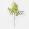 Artificial Plant 40*40*53cm Asplenium laciniatum Don  bush/7 lvs GS-72424013 2025Feb YeahFlower is one of Chinese leading OEM manufacturers and exporters , supplying the silk flowers, wholesale artificial trees
