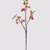 Artificial Branch fruit Apple 3 single stem 3 lvs GS-57724009-O1_4 Artificial Branch fruit 16*16*62cm Apple *3 single stem/3 lvs GS-57724009-O1 2025Mar YeahFlower is one of Chinese leading OEM manufacturers and exporters , supplying the silk flowers, wholesale artificial trees