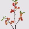 Artificial Branch fruit Apple 3 single stem 3 lvs GS-57724009-O1_5 Artificial Branch fruit 16*16*62cm Apple *3 single stem/3 lvs GS-57724009-O1 2025Mar YeahFlower is one of Chinese leading OEM manufacturers and exporters , supplying the silk flowers, wholesale artificial trees