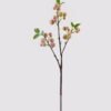 Artificial Branch fruit Apple 3 single stem 3 lvs GS-57724009-P1_4 Artificial Branch fruit 16*16*62cm Apple *3 single stem/3 lvs GS-57724009-P1 2025Mar YeahFlower is one of Chinese leading OEM manufacturers and exporters , supplying the silk flowers, wholesale artificial trees