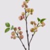 Artificial Branch fruit Apple 3 single stem 3 lvs GS-57724009-P1_5 Artificial Branch fruit 16*16*62cm Apple *3 single stem/3 lvs GS-57724009-P1 2025Mar YeahFlower is one of Chinese leading OEM manufacturers and exporters , supplying the silk flowers, wholesale artificial trees