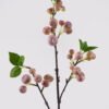 Artificial Branch fruit Apple 3 single stem 3 lvs GS-57724009_2 Artificial Branch fruit 16*16*62cm Apple *3 single stem/3 lvs GS-57724009 2025Mar YeahFlower is one of Chinese leading OEM manufacturers and exporters , supplying the silk flowers, wholesale artificial trees