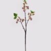 Artificial Branch fruit Apple 3 single stem 3 lvs GS-57724009_3 Artificial Branch fruit 16*16*62cm Apple *3 single stem/3 lvs GS-57724009 2025Mar YeahFlower is one of Chinese leading OEM manufacturers and exporters , supplying the silk flowers, wholesale artificial trees