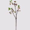 Artificial Branch fruit Apple 3 single stem 3 lvs GS-57724009_5 Artificial Branch fruit 16*16*62cm Apple *3 single stem/3 lvs GS-57724009 2025Mar YeahFlower is one of Chinese leading OEM manufacturers and exporters , supplying the silk flowers, wholesale artificial trees