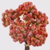 Artificial Branch fruit 15*15*29cm Apple *5 bush GS-57724002-O1 2025Mar YeahFlower is one of Chinese leading OEM manufacturers and exporters , supplying the silk flowers, wholesale artificial trees