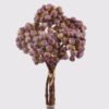Artificial Branch fruit Apple 5 bush GS-57724002_6 Artificial Branch fruit 15*15*29cm Apple *5 bush GS-57724002 2025Mar YeahFlower is one of Chinese leading OEM manufacturers and exporters , supplying the silk flowers, wholesale artificial trees