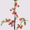 Artificial Branch fruit 17*17*56cm Apple single stem/3 lvs GS-57724007-O1 2025Mar YeahFlower is one of Chinese leading OEM manufacturers and exporters , supplying the silk flowers, wholesale artificial trees