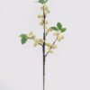 Artificial Branch fruit Apple single stem 3 lvs GS-57724007-W2_1 Artificial Branch fruit 17*17*56cm Apple single stem/3 lvs GS-57724007-W2 2025Mar YeahFlower is one of Chinese leading OEM manufacturers and exporters , supplying the silk flowers, wholesale artificial trees