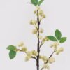 Artificial Branch fruit Apple single stem 3 lvs GS-57724007-W2_4 Artificial Branch fruit 17*17*56cm Apple single stem/3 lvs GS-57724007-W2 2025Mar YeahFlower is one of Chinese leading OEM manufacturers and exporters , supplying the silk flowers, wholesale artificial trees