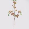 Artificial Branch fruit Apple single stem 3 lvs GS-57724007_5 Artificial Branch fruit 17*17*56cm Apple single stem/3 lvs GS-57724007 2025Mar YeahFlower is one of Chinese leading OEM manufacturers and exporters , supplying the silk flowers, wholesale artificial trees