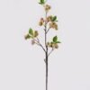 Artificial Branch fruit Apple single stem 4 lvs GS-57724010-P1_1 Artificial Branch fruit 13*13*58cm Apple single stem/4 lvs GS-57724010-P1 2025Mar YeahFlower is one of Chinese leading OEM manufacturers and exporters , supplying the silk flowers, wholesale artificial trees