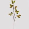Artificial Branch fruit 19*19*62cm Eucalyptus fruit single stem GS-57724005-G1 2025Mar YeahFlower is one of Chinese leading OEM manufacturers and exporters , supplying the silk flowers, wholesale artificial trees