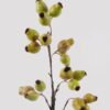 Artificial Branch fruit 19*19*62cm Eucalyptus fruit single stem GS-57724005-G1 2025Mar YeahFlower is one of Chinese leading OEM manufacturers and exporters , supplying the silk flowers, wholesale artificial trees