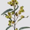 Artificial Branch fruit Eucalyptus fruit single stem GS-57724011-G1_4 Artificial Branch fruit 19*19*78cm Eucalyptus fruit single stem GS-57724011-G1 2025Mar YeahFlower is one of Chinese leading OEM manufacturers and exporters , supplying the silk flowers, wholesale artificial trees