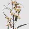 Artificial Branch fruit Eucalyptus fruit single stem GS-57724011_3 Artificial Branch fruit 19*19*78cm Eucalyptus fruit single stem GS-57724011 2025Mar YeahFlower is one of Chinese leading OEM manufacturers and exporters , supplying the silk flowers, wholesale artificial trees