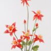 Artificial Flower Columbine single stem GS-71225002-O2_3 Artificial Flower 18*18*85cm Columbine single stem GS-71225002-O2 2025Mar YeahFlower is one of Chinese leading OEM manufacturers and exporters , supplying the silk flowers, wholesale artificial trees
