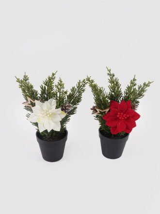 Artificial Flower 13*13*23cm Cypress leaf in pot GS-54024140KIK-R1 2025Mar 3,000+ sqm showroom with thousands of artificial flowers, plants & trees ready for global sourcing.