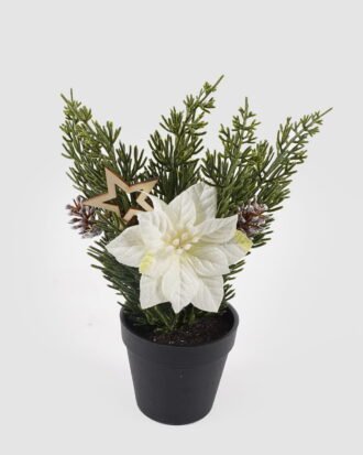 Artificial Flower 13*13*23cm Cypress leaf in pot GS-54024140KIK-W1 2025Mar YeahFlower is one of Chinese leading OEM manufacturers and exporters , supplying the silk flowers, wholesale artificial trees Artificial Flower 13*13*23cm Cypress leaf in pot GS-54024140KIK-W1 2025Mar YeahFlower is one of Chinese leading OEM manufacturers and exporters , supplying the silk flowers, wholesale artificial trees