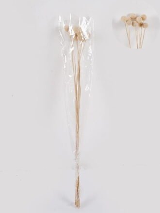 Dried Flowers 22*64CM Leaves spray(Net weight: 30G) GS-56620034P4P24-R1 2025Mar 3,000+ sqm showroom with thousands of artificial flowers, plants & trees ready for global sourcing.